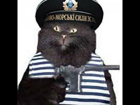 OGSE 0.6.9.3 Прохождение, начало игры, арт Кровь Камня для Сидора.