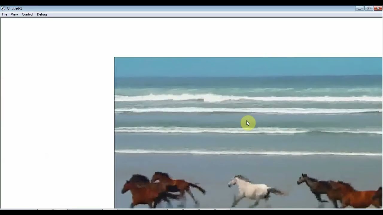 Macromedia Flash. Выдеоданные