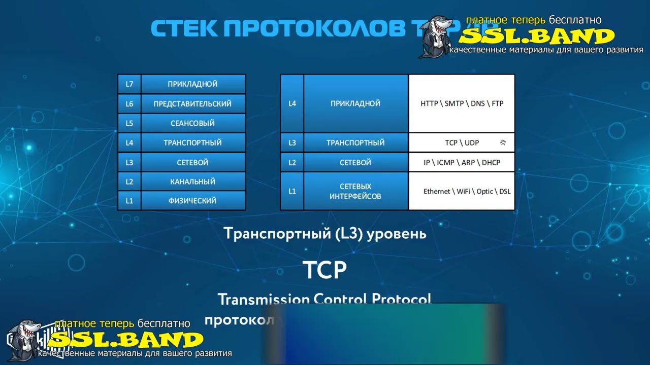 19. Стек протоколов TCP IP
