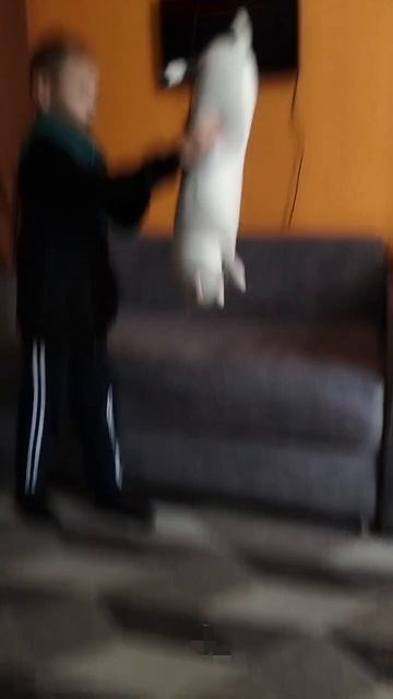 1000271122.mp4