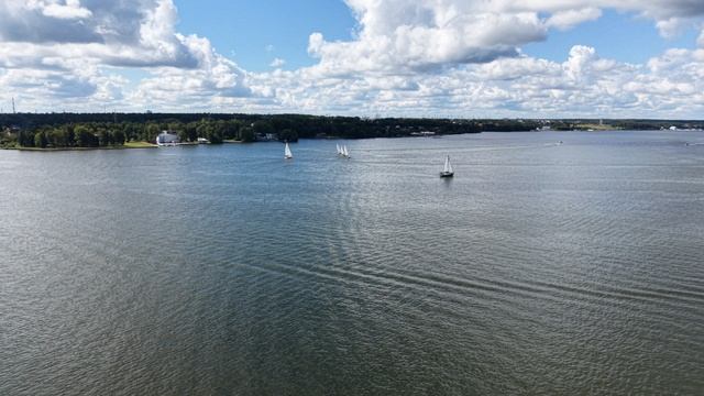 Копия DJI_20260809110615_0558_D