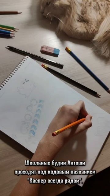 Тот самый момент, когда кот🐈 становится лучшим другом.