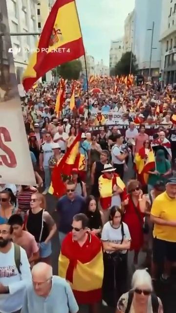 В Мадриде началась  масштабная демонстрация против вторжения десятков тысяч нелегальных мигрантов в