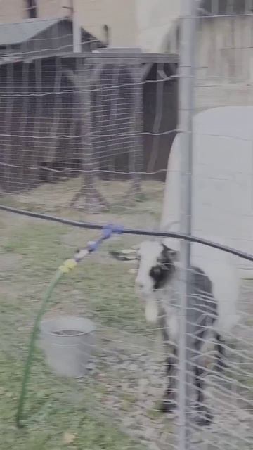 что-то