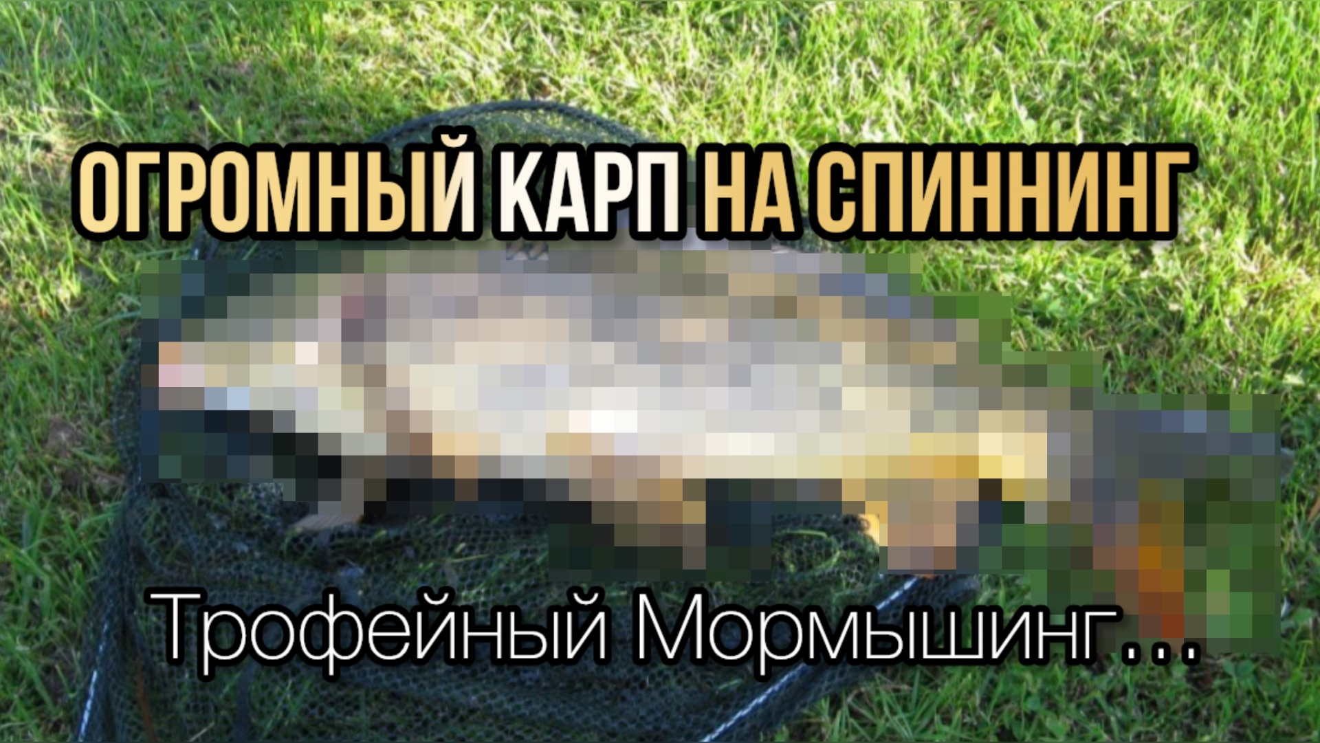 МОРМЫШИНГ: ОГРОМНЫЙ КАРП НА ТОНЧАЙШИЙ СПИННИНГ | CF Sub Zero…