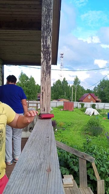 шлефофка