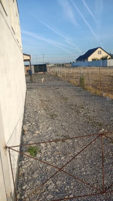 собрался зоопарк