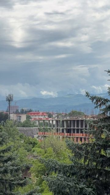 Дольче Вита F 144597441