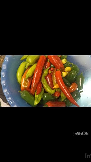 Маринованный острый перец