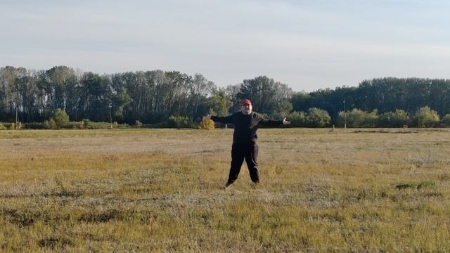 как я бегу по полю