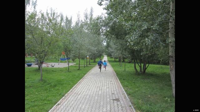ДОЧА