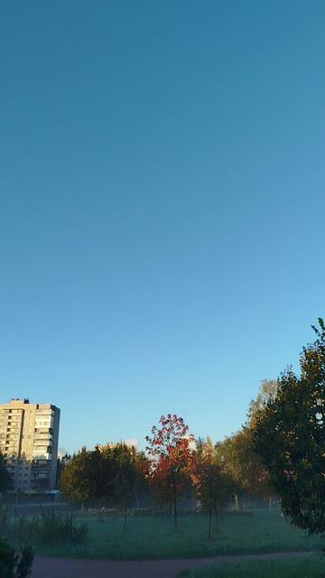 погода из Санкт-Петербурга
