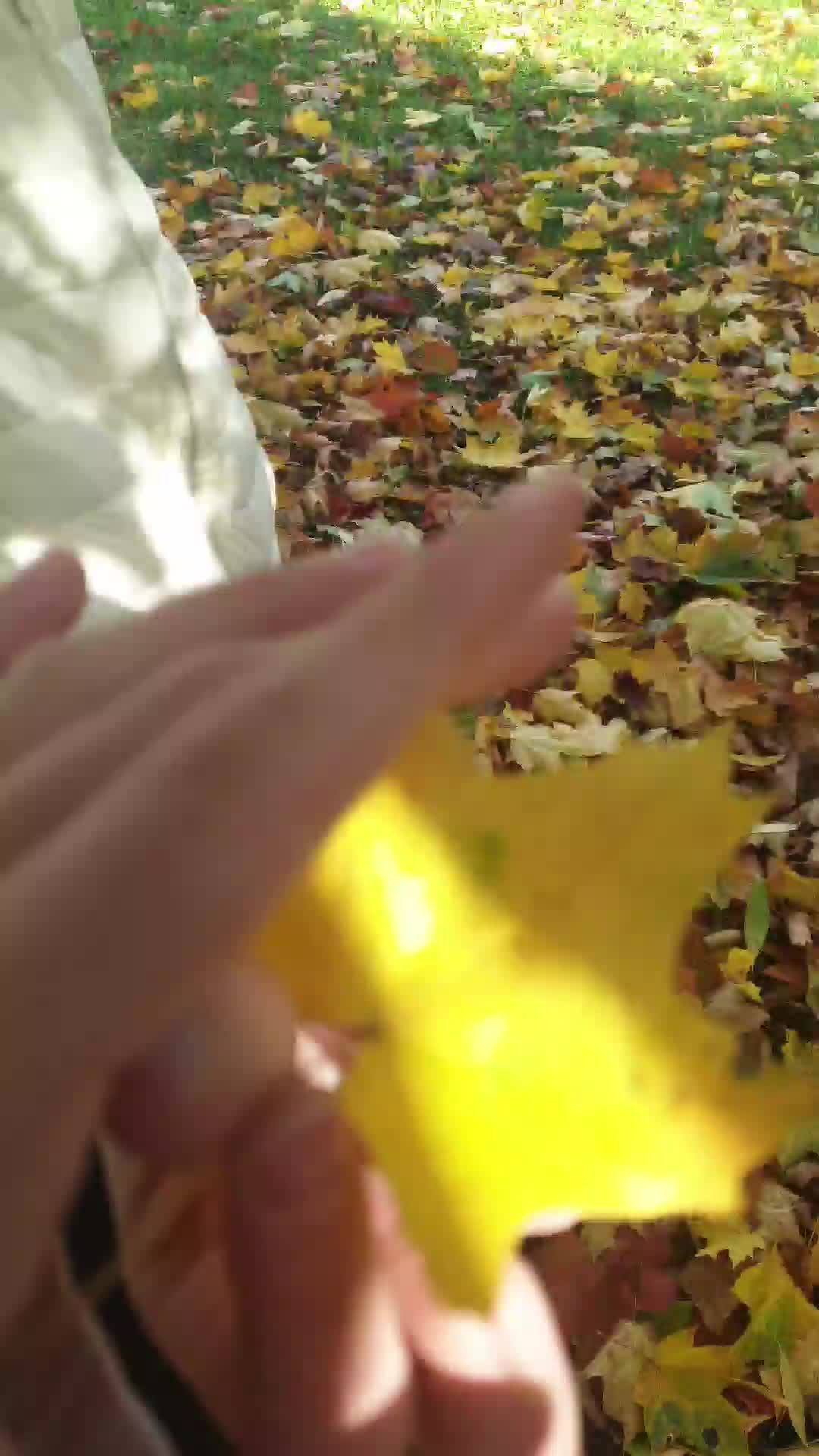 гулянка