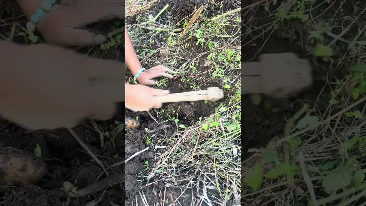 #деревенскаяжизнь