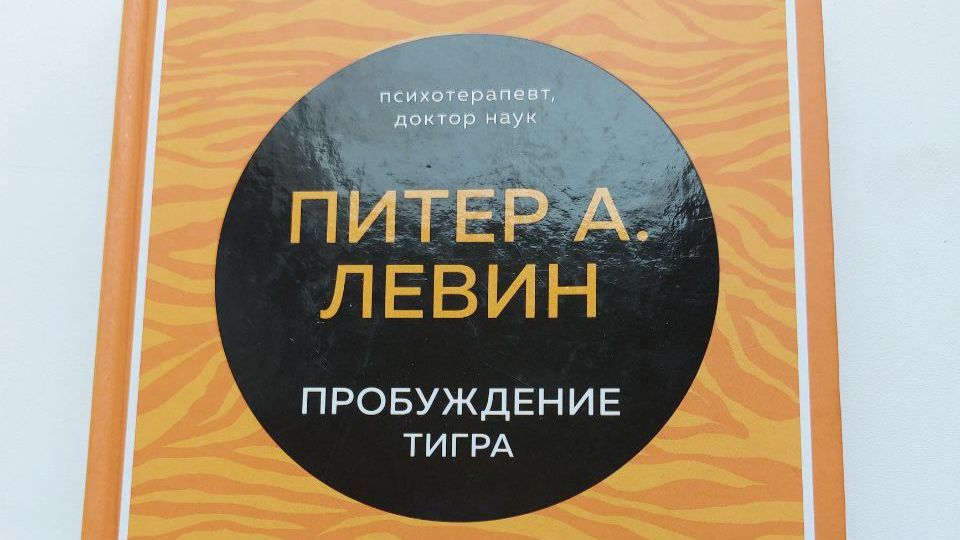 3-6-В-отражении-травмы