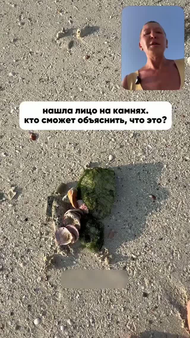 Пишите Свою Версию в Комментариях