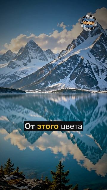 Красивые стены против злых соседок/Жизненные истории/Слушать истории онлайн