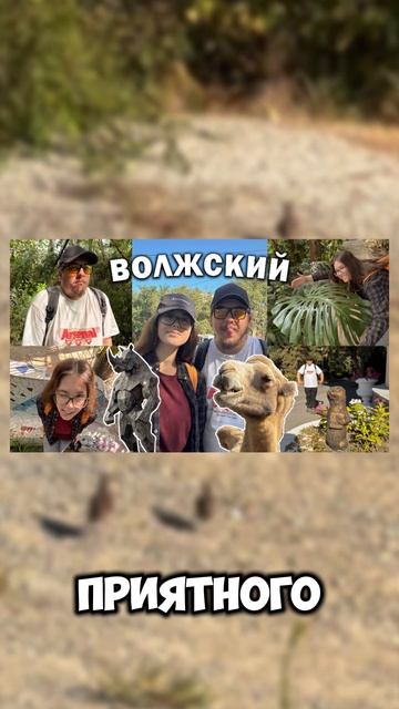 Чипсы Литвина Сальса и Лэйс с Грибами #обзор #чипсылэйс #лэйс #литвин #михаиллитвин #litenergy