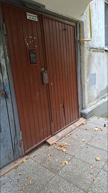 Выехал на прогулку