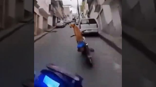 уф