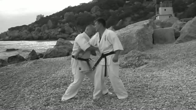 Будо Каратэ 2009 г.(1). Budo-karate  (Combat Karate)