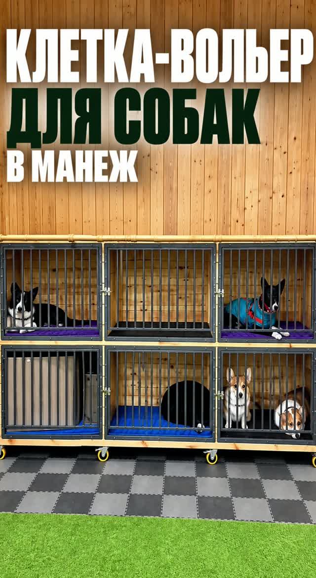Клетка-вольер для собак🐶 #shorts #short #собаки #клетка #домики #домик