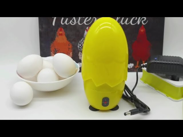 Электрический скремблер для золотых яиц Kbxlife на AliExpress