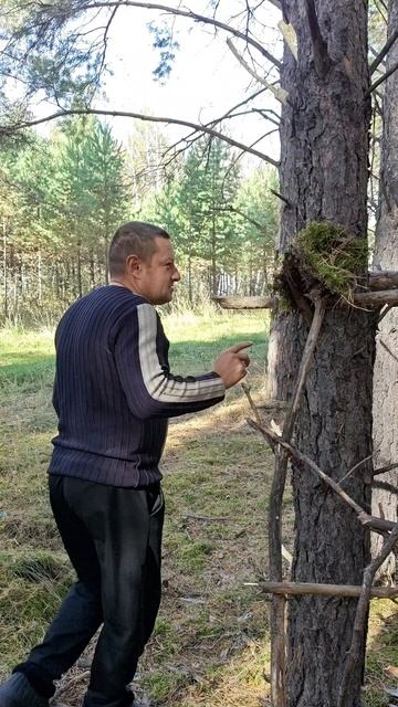 Поездка в лес.Необычная находка.