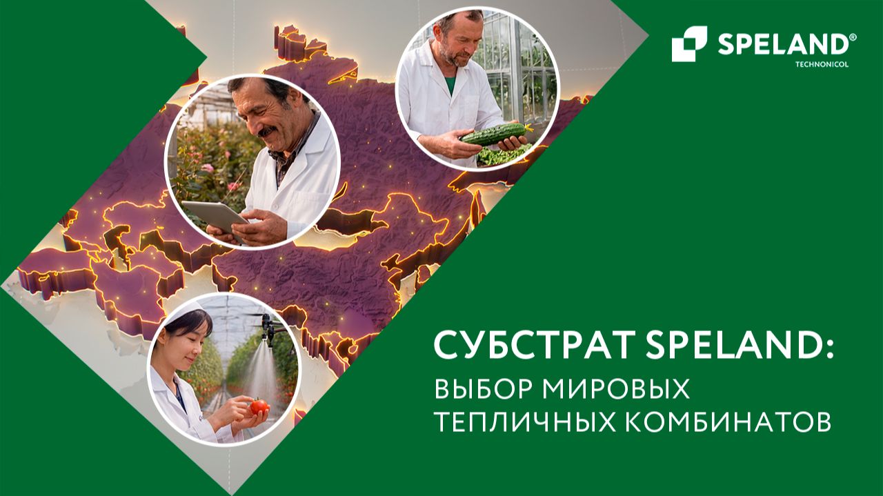 Субстрат SPELAND: выбор мировых тепличных комбинатов