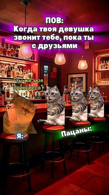 Фатальная ошибка🤣 #котята #мемы #жиза #шортс