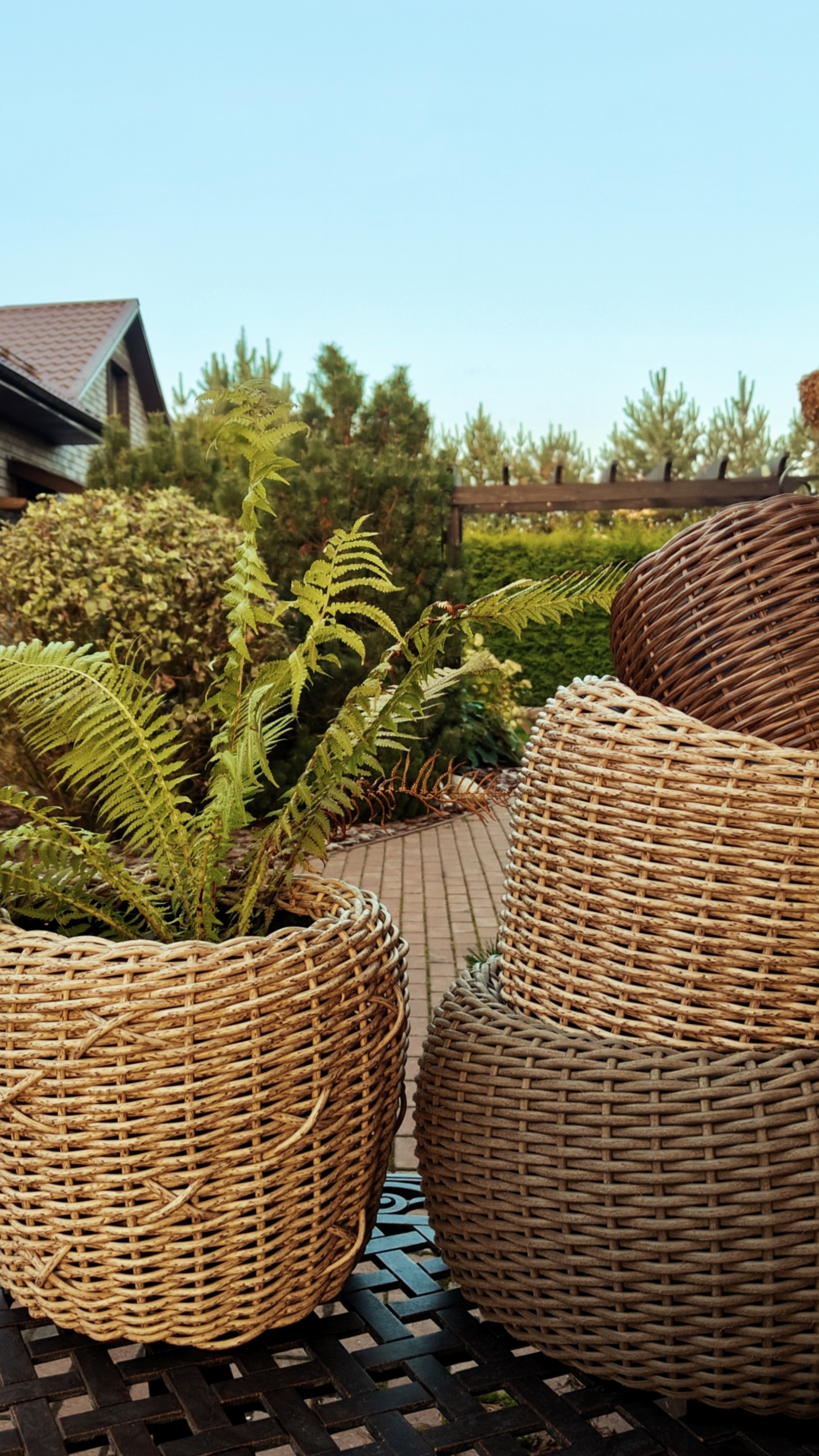 Ротанг🌿.. лёгкий орнамент ✔️
