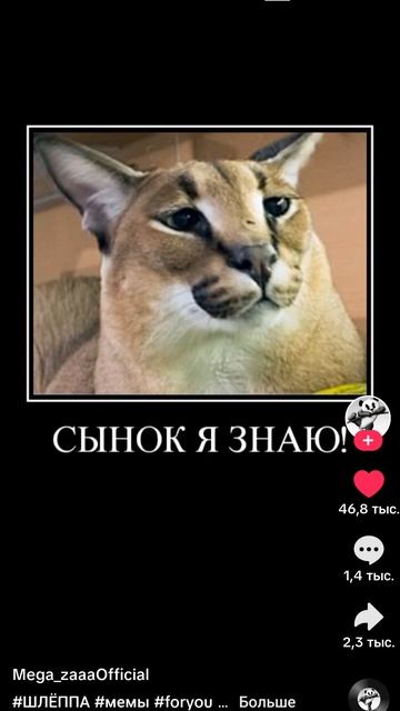ХВХХХАХАХАХХАХАХ