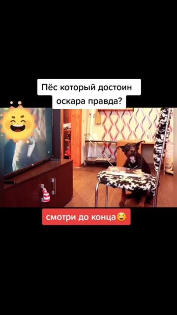 достоин оскара