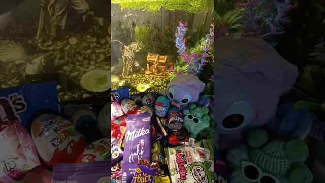 ASMR Chocolate Live Fish In An Aquarium And Chocolate ASMR