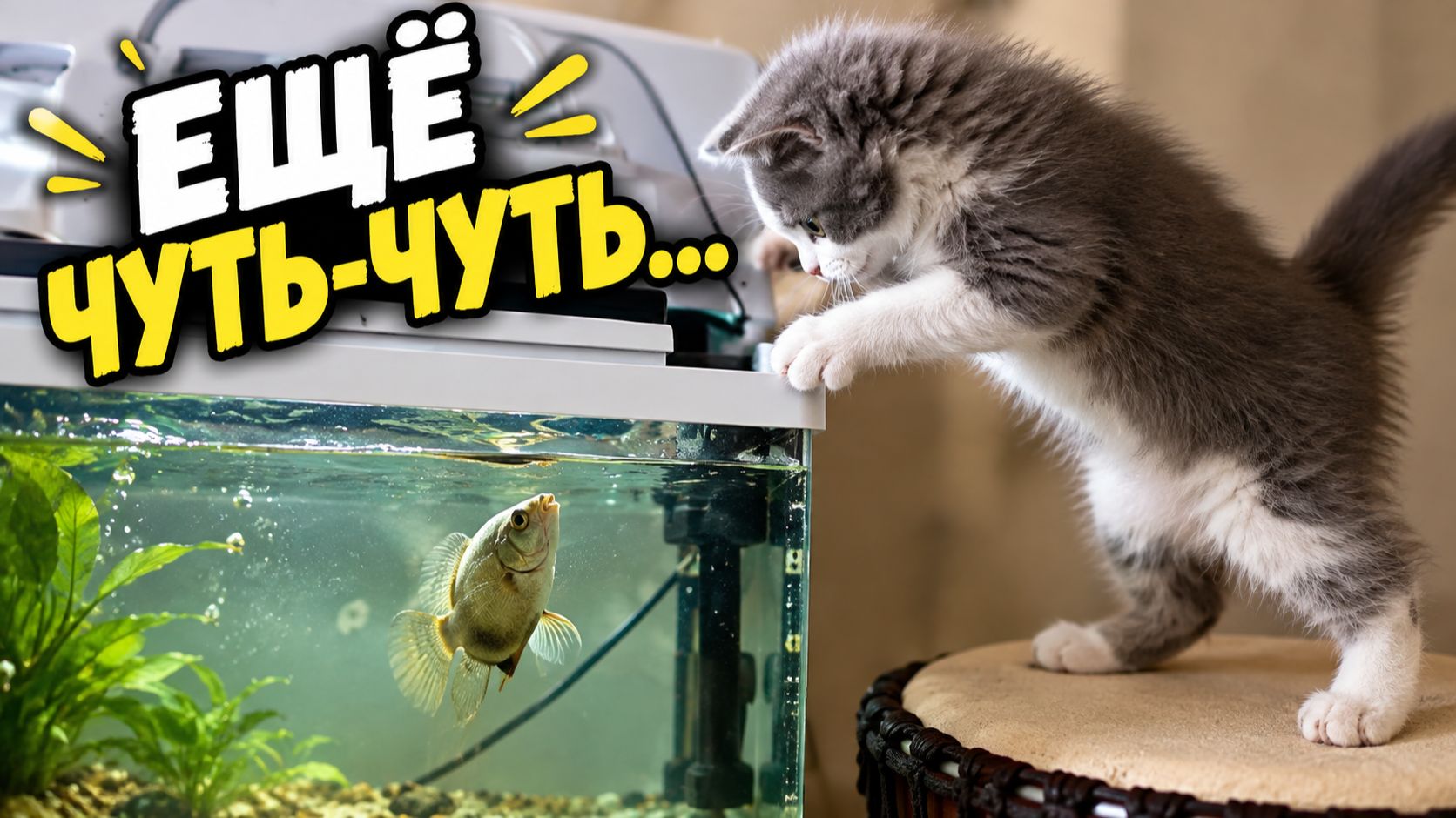 Смех до слёз: лучшие приколы №334