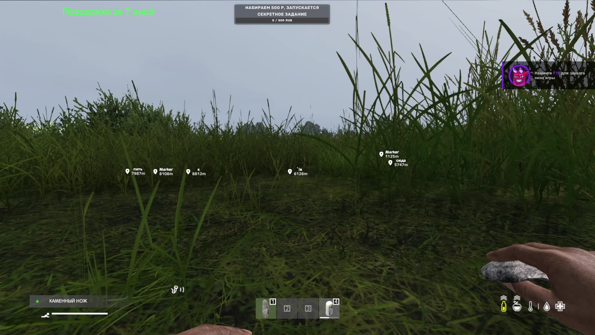 DAYZ PVP Выживание + Devaliada