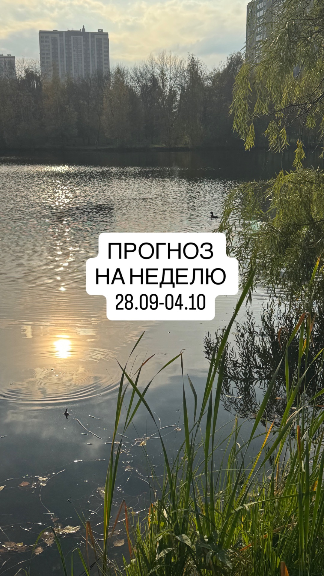 Прогноз на неделю с 28 сентября по 4 октября ✨