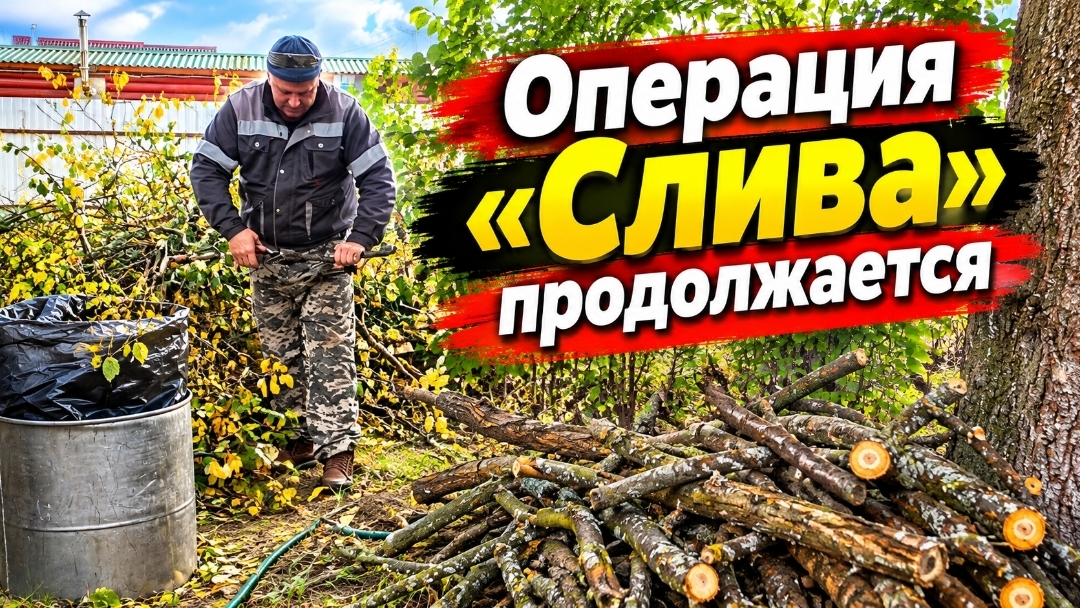 Дачные хлопоты