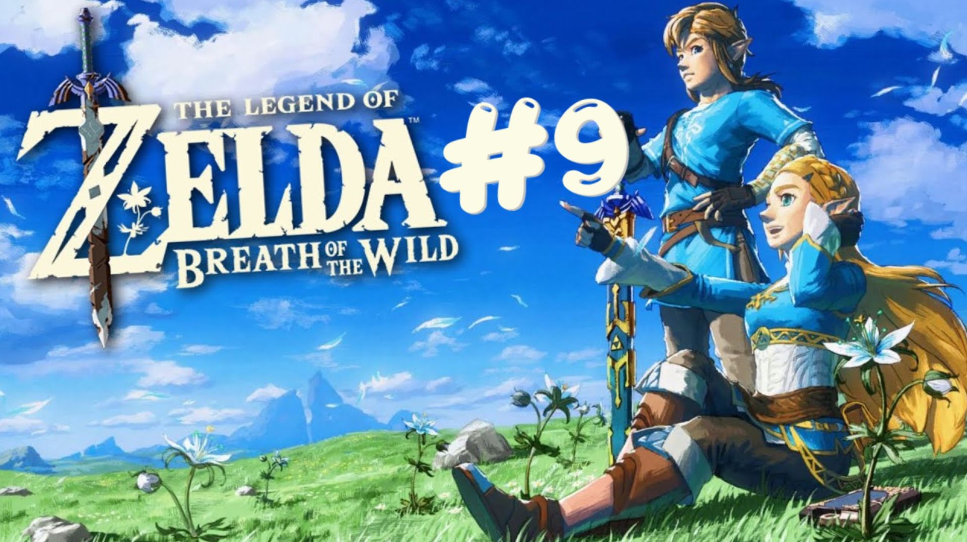 The Legend Of Zelda: ※ Breath Of The Wild #9