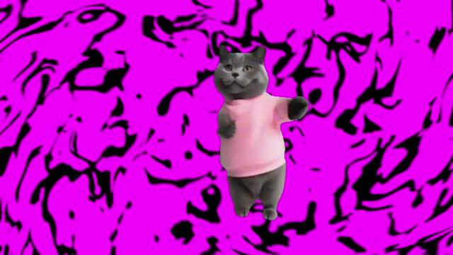 Танцы котиков