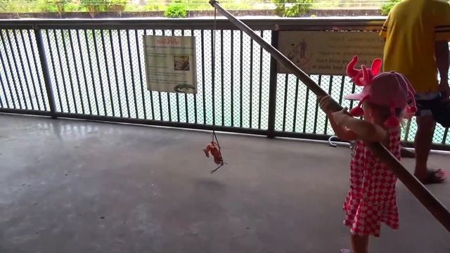Настя идёт в зоопарк