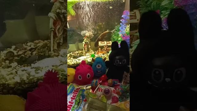 Chocolate ASMR Live With The Giant Fish And Chocolates