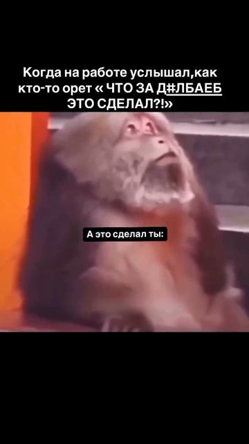 Понять простить