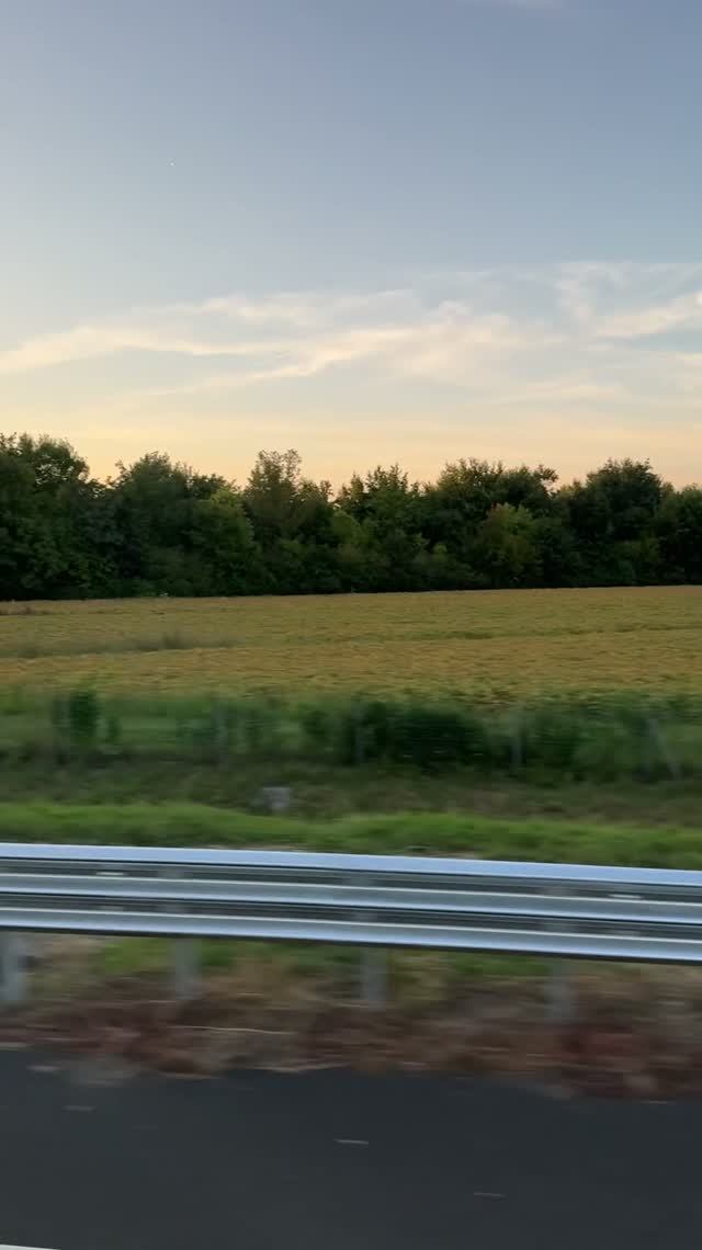 Дорога. Начало