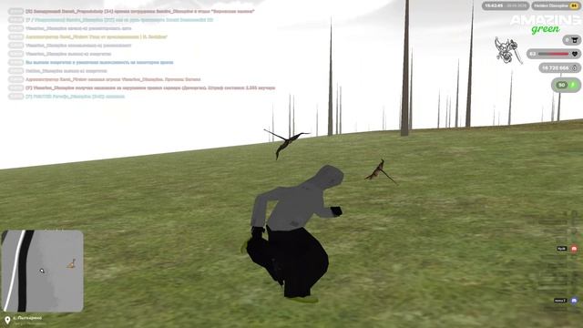 Video Project 31