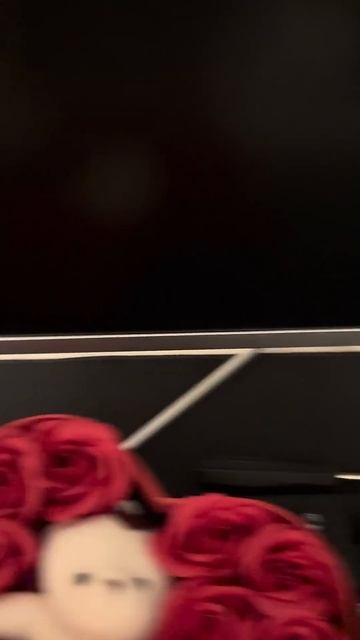 АСМР котики ❤️ #asmr