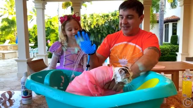 Настя и папа весело играют с игрушками