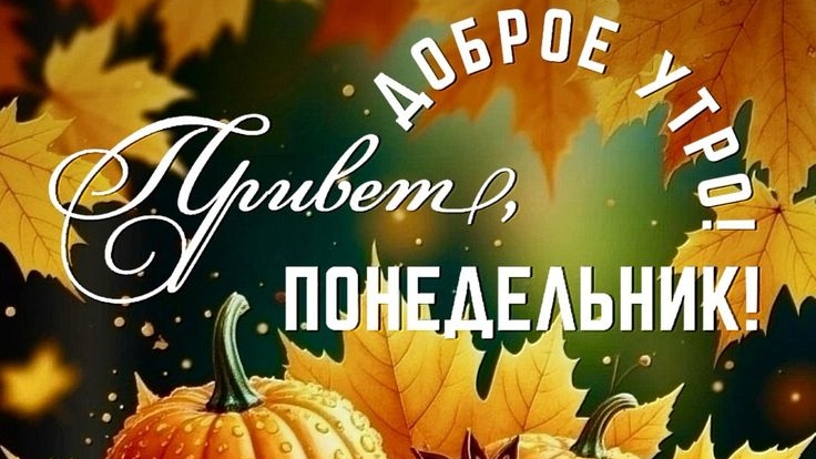 С добрым утром понедельника. Красивая музыкальная открытка.