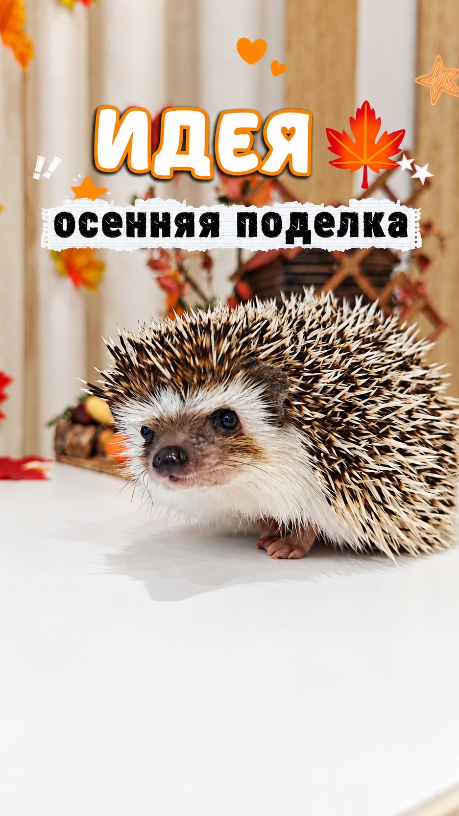 Поделка с ёжиком
