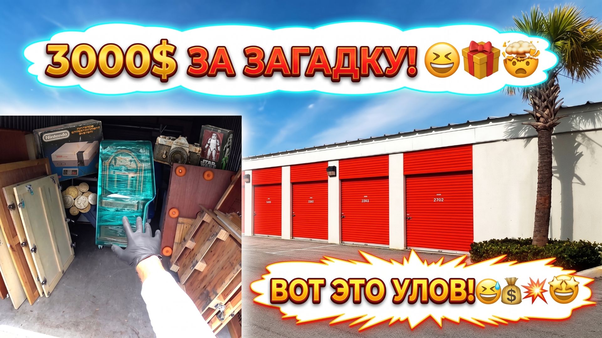 За это мы отдали 3000$. Очень повезло!